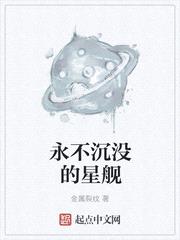 永不沉没的星舰封面