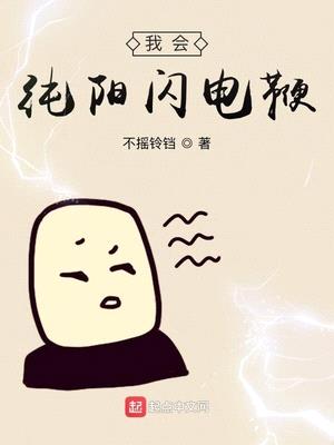 我会纯阳闪电鞭封面