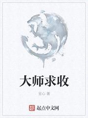 大师求收封面